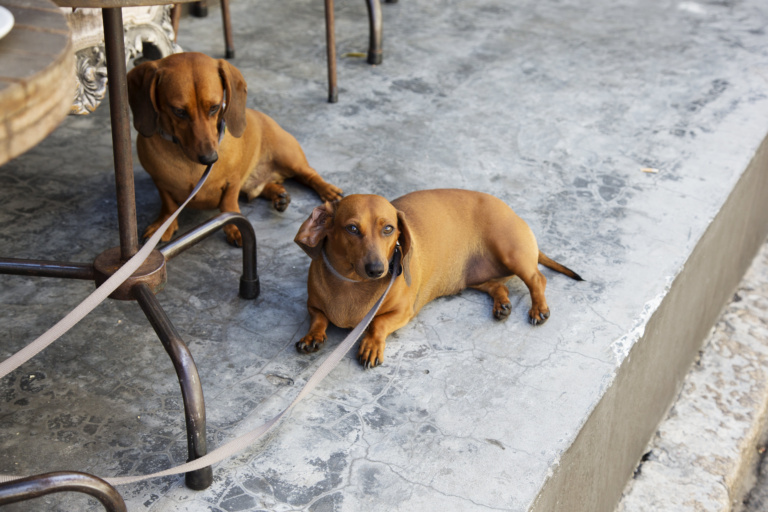 andreas baum photography studio andreasbaum fotograf lifestyle photographer switzerland russia southafrica germany reportage fashion advertising people portraits travel deutschland editorial beauty studioandreasbaum moscow bff kinderphotographie kinderfotograf